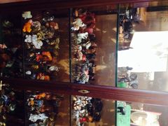 the&nbsp;elephant&nbsp;house-大象咖啡馆