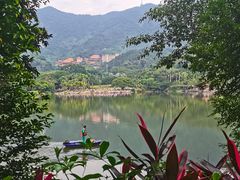 -深圳仙湖植物园