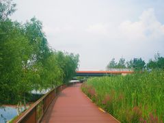 -西海子公园