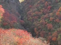-黄花溪
