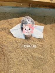 -敖东酵素·离子暖房