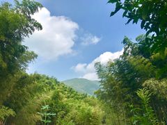 -宁波浙东大竹海景区