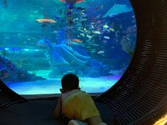 -沈阳海洋探索中心