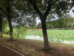 -艾溪湖湿地公园