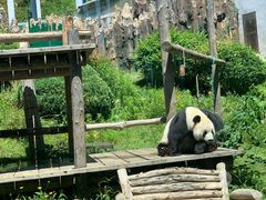 -大连森林动物园
