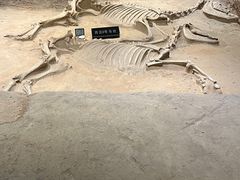 -洛阳周王城天子驾六博物馆