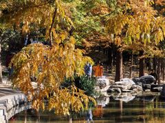-白水寺森林公园