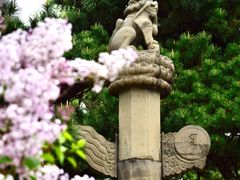 -沈阳市东陵公园