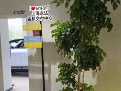 -上海浦东smart汽车全功能店(金桥店)