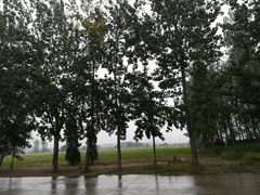 -汉长安城未央宫国家考古遗址公园