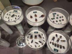 -陕西自然博物馆