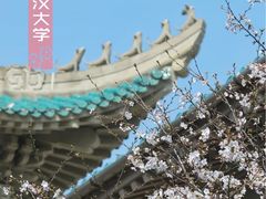 -武汉大学-樱园