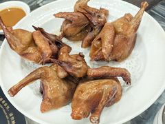 -鸽鸟轩(石岐店)