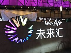 -远洋未来汇