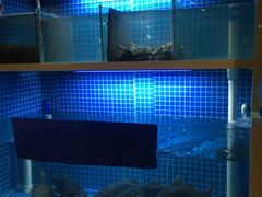 水产区-锅来乐地锅鸡(安亭店)