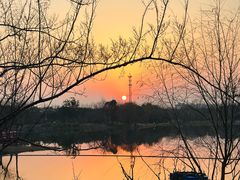 -上海长兴岛郊野公园