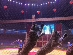 -西安秦岭野生动物园