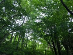 -轻井泽高原教堂