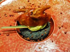 贡椒乳鸽-南堂馆·新川菜(天府三街店)