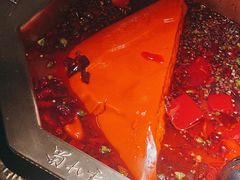 -蜀九香火锅(彩虹店)