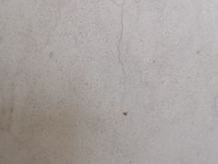 -吕家米皮