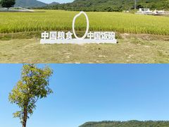 -风云岭森林公园