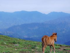 -灵山