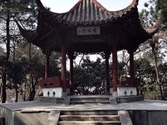 iphone_upload_pic-峙山公园