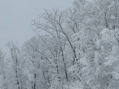 -中旅松花湖滑雪场