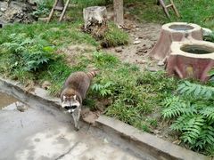 -石家庄市动物园