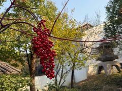 -观唐（国际）度假村温泉