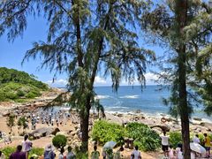 -广东惠东海龟国家级自然保护区