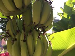 -亚马逊丛林水乐园