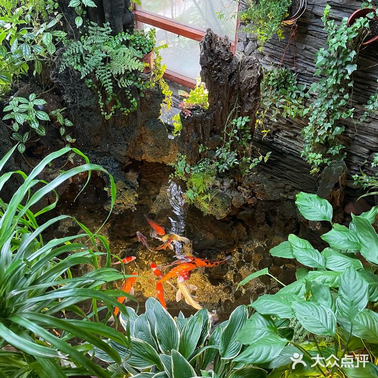 说说我在童话森林餐吧吃饭顺便看展的体验