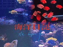 -海合安天津极地海洋公园