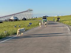 -呼和诺尔旅游景区