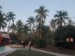 -三亚珠江南田温泉度假区