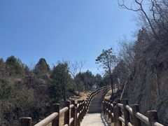 -白水寺森林公园