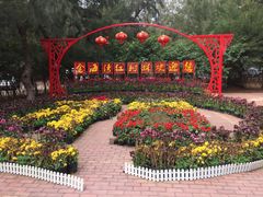 -北海金海湾红树林生态旅游区