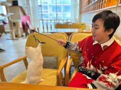 -猫咖时代(中山亭店)