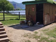 -长兴太湖图影湿地文化园