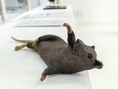 -胶囊画廊