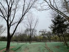-太阳宫公园