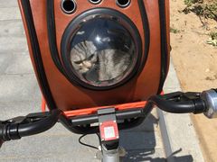 -联萌宠物医院(猫病专科)