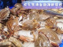 -欢乐牧场海鲜烤肉自助(牡丹园店)
