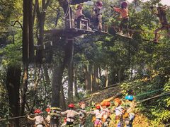 -天鹿湖森林公园