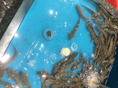 -舌尖上·霞浦滩涂海鲜·新闽菜(总店)