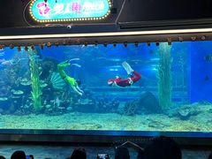-顺德南宏海立方海洋公园
