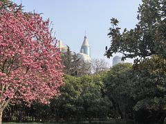 -人民广场