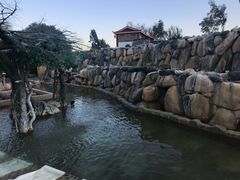 -大理地热国